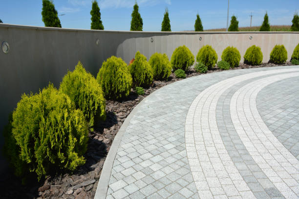 Best Eco-Friendly Driveway Paving in Magalia, CA